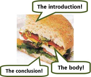 The different parts of the essay are like the parts of a sandwich or a burger...